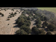 Aerial view of a 240 acre hunting lease with scattered trees and an open landscape, indicating a rural area suitable for hunting.