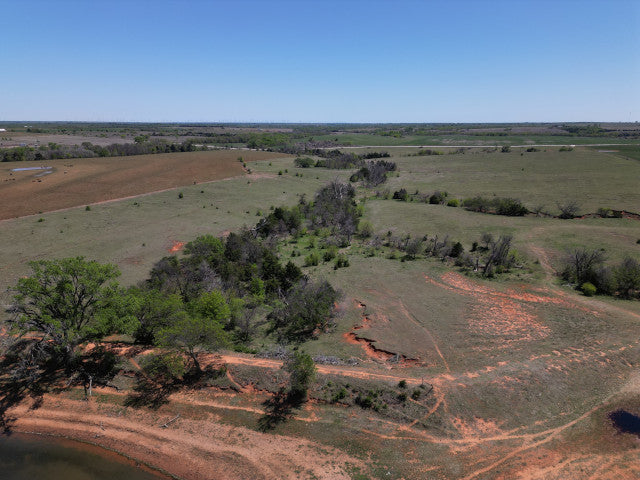 Great Deer Herd on 524 acre lease near Putnam - Watershed