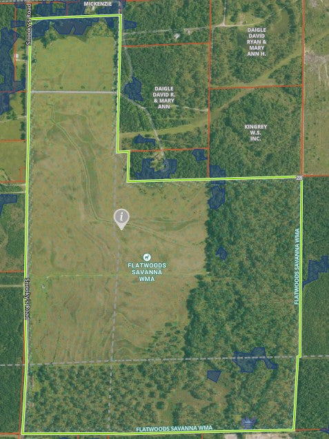 Flatwoods Savanna Hunting - Sulpher LA