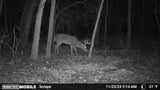 Great Waterfowl/Deer on 115 Acres in Pottawatomie County- Econtuchka River