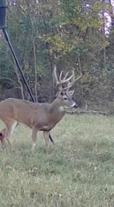 620acre Hunting Lease - School Section