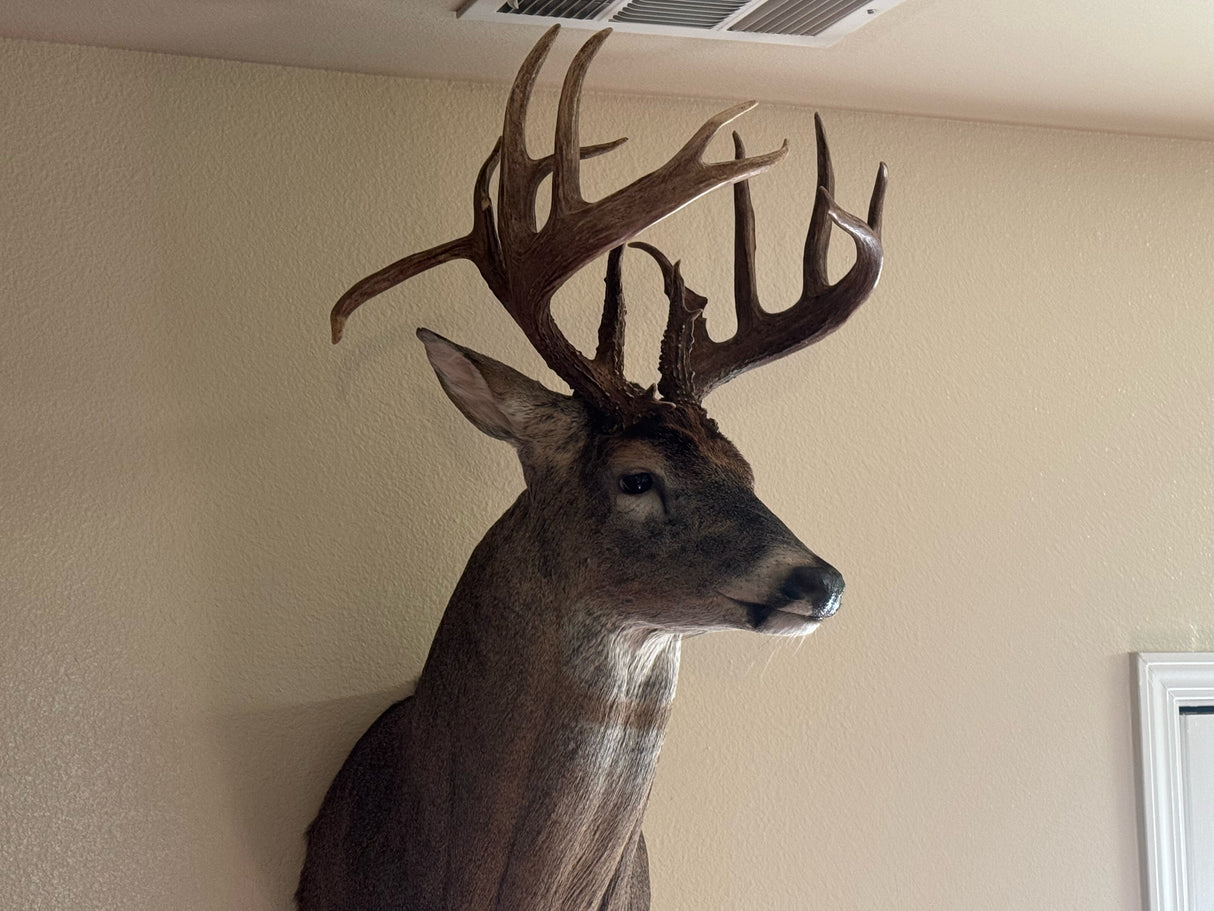 Great Waterfowl/Deer on 115 Acres in Pottawatomie County- Econtuchka River