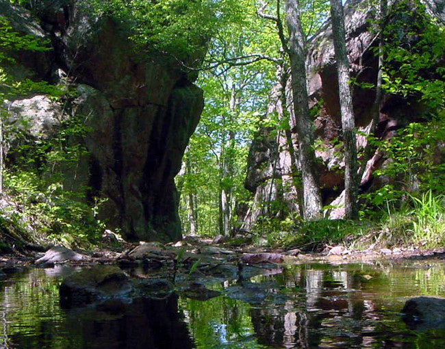 Mark Twain Hunting - Ozark MO