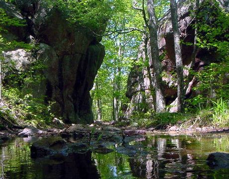 Mark Twain Hunting - Ozark MO
