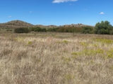 1000 Beautiful Acres in Kiowa County - Haley Ranch