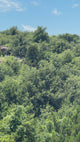 1000 Beautiful Acres in Kiowa County - Haley Ranch